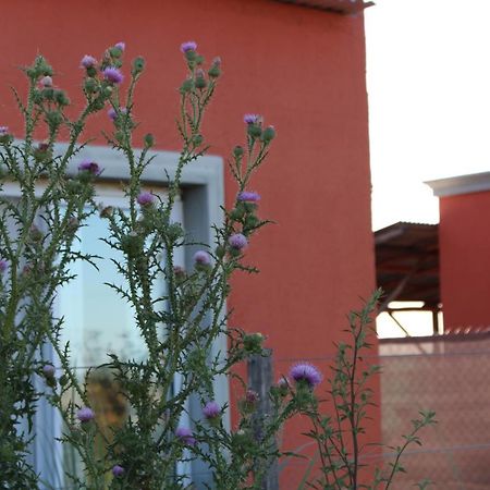 La Narcisa Villa Пеуахо Екстериор снимка