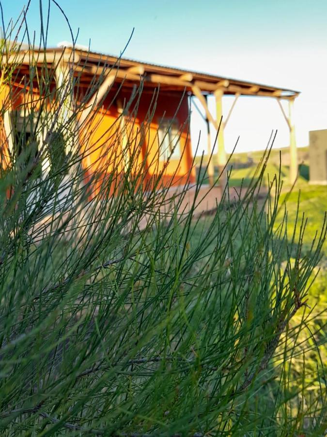 La Narcisa Villa Пеуахо Екстериор снимка