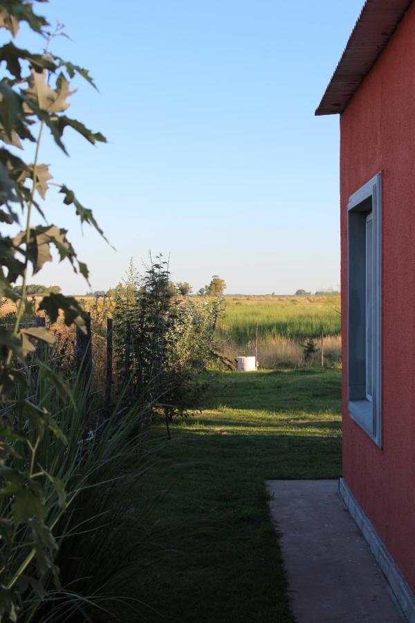 La Narcisa Villa Пеуахо Екстериор снимка