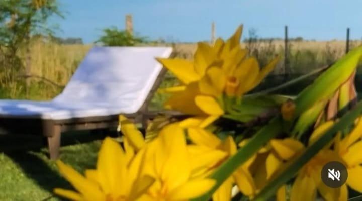 La Narcisa Villa Пеуахо Екстериор снимка