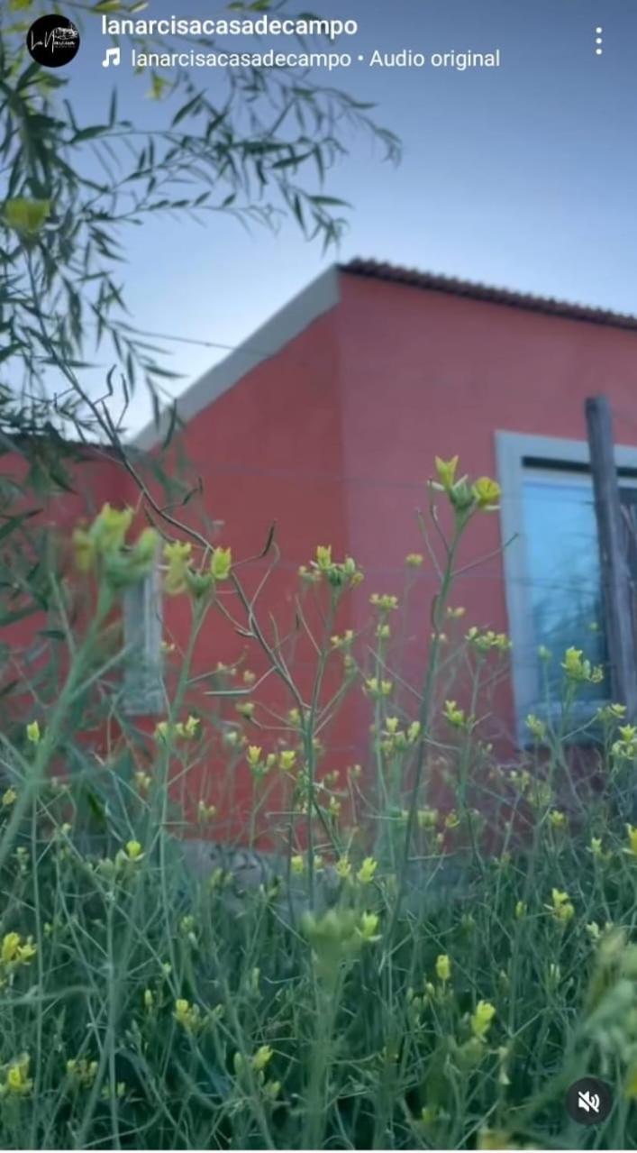 La Narcisa Villa Пеуахо Екстериор снимка