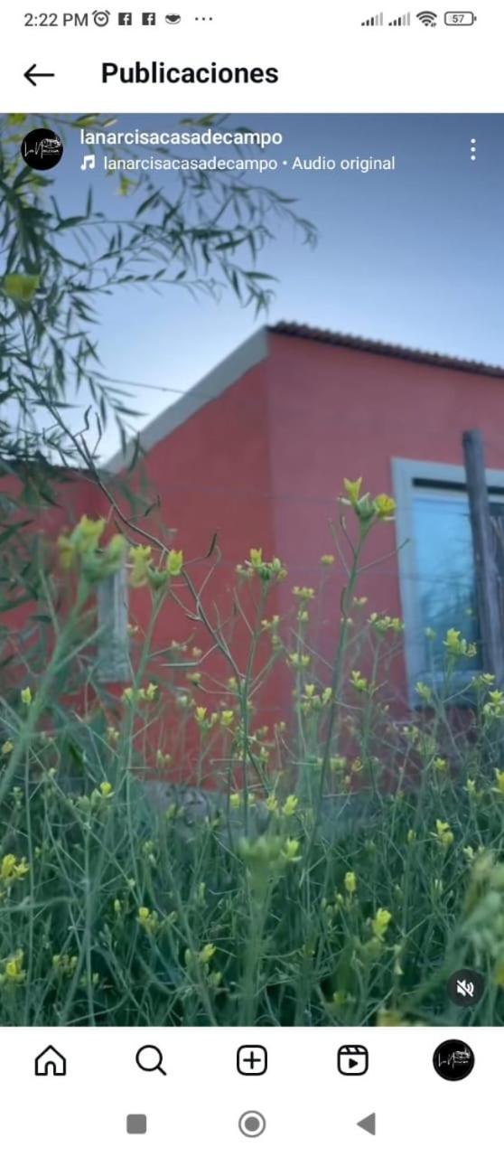 La Narcisa Villa Пеуахо Екстериор снимка